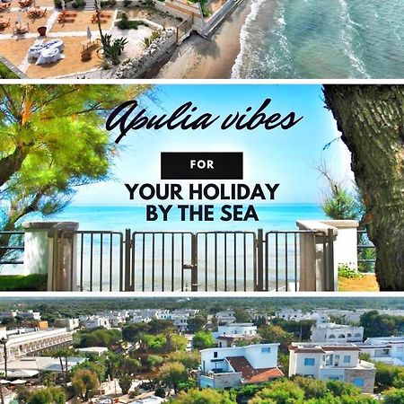 トッレ・カンネ Aurelia Sea View Bed & Breakfast エクステリア 写真
