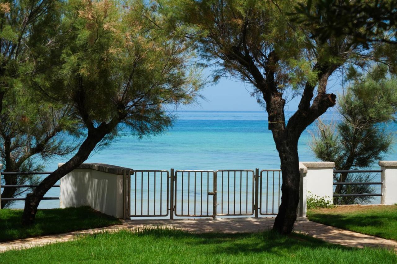 トッレ・カンネ Aurelia Sea View Bed & Breakfast エクステリア 写真