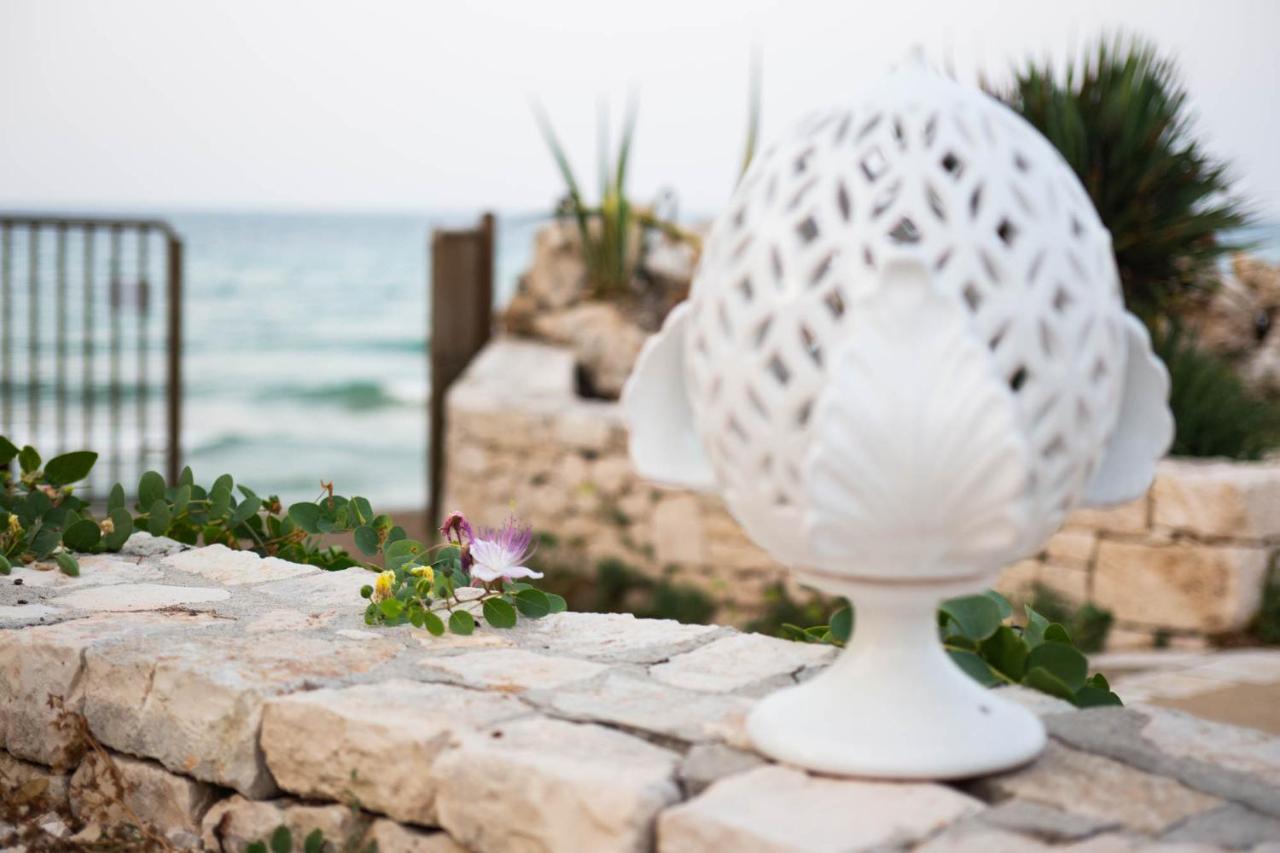 トッレ・カンネ Aurelia Sea View Bed & Breakfast エクステリア 写真