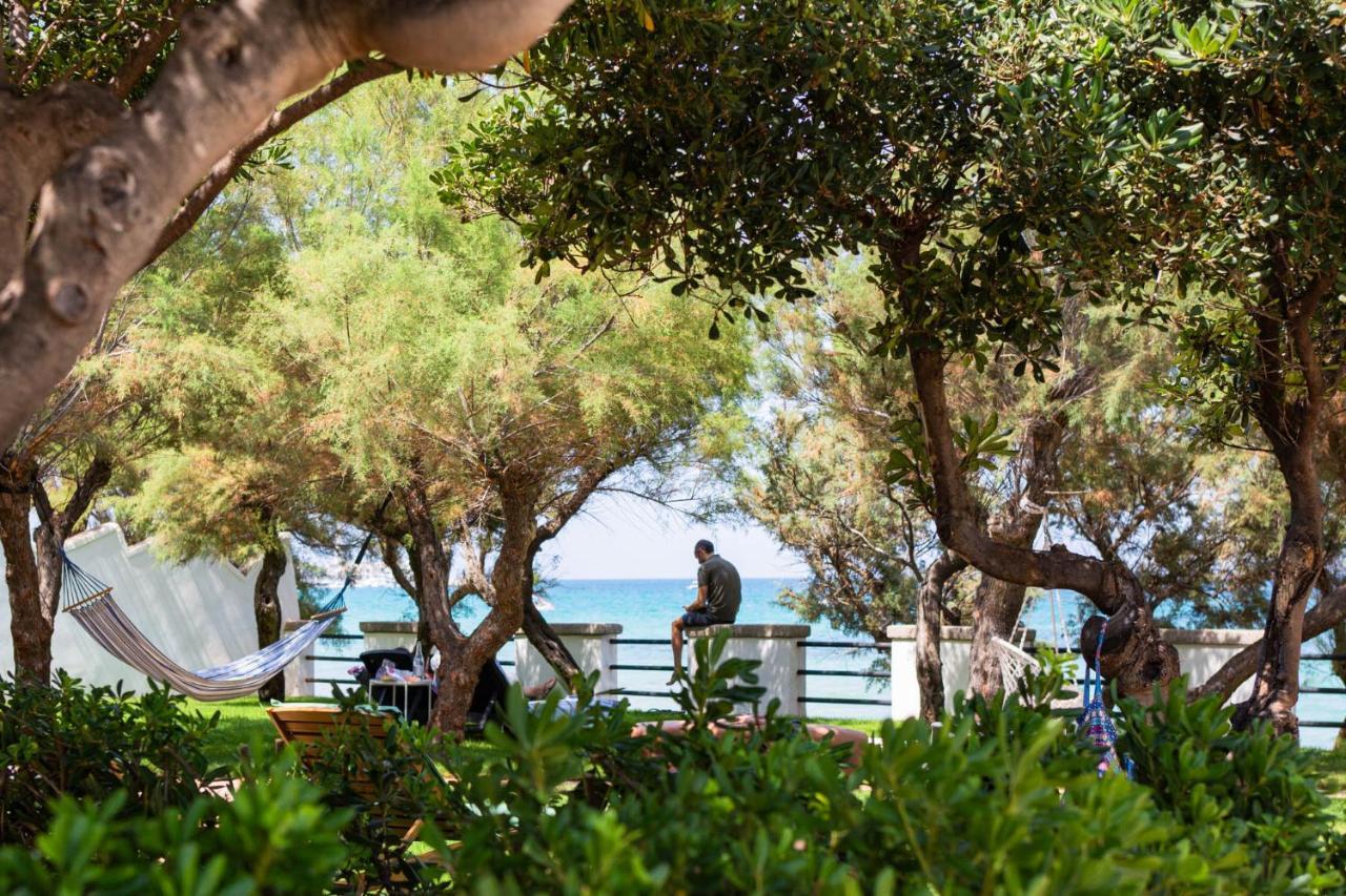 トッレ・カンネ Aurelia Sea View Bed & Breakfast エクステリア 写真