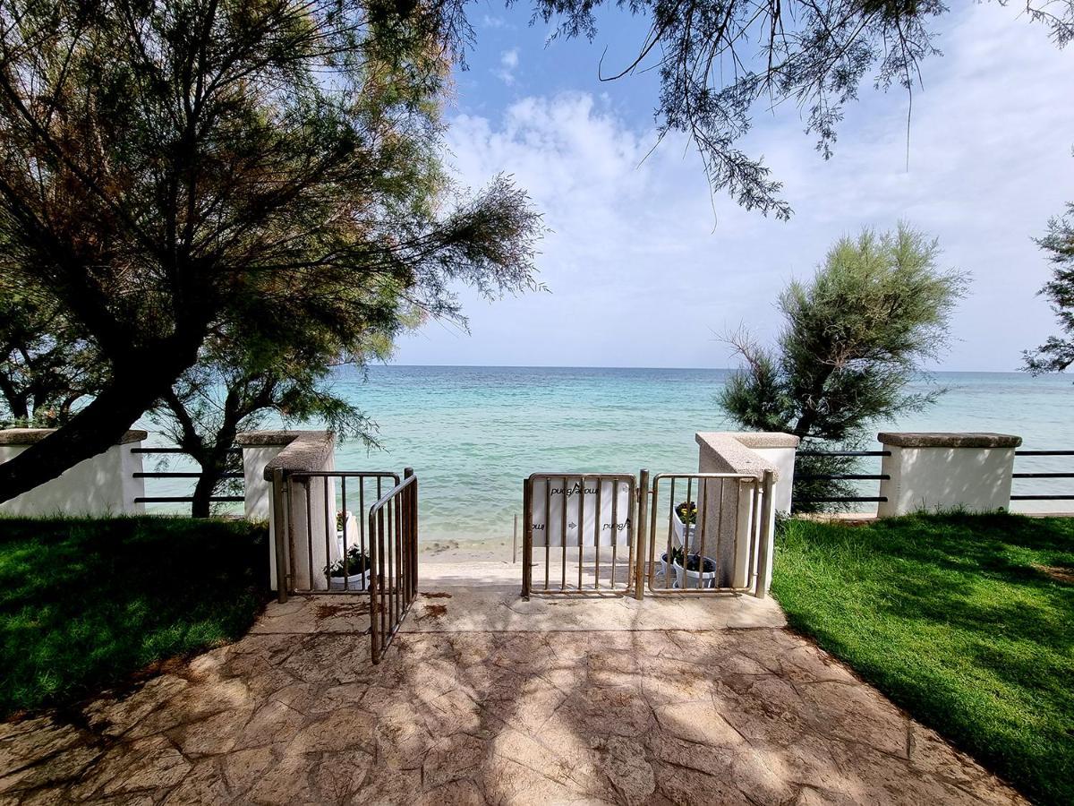 トッレ・カンネ Aurelia Sea View Bed & Breakfast エクステリア 写真