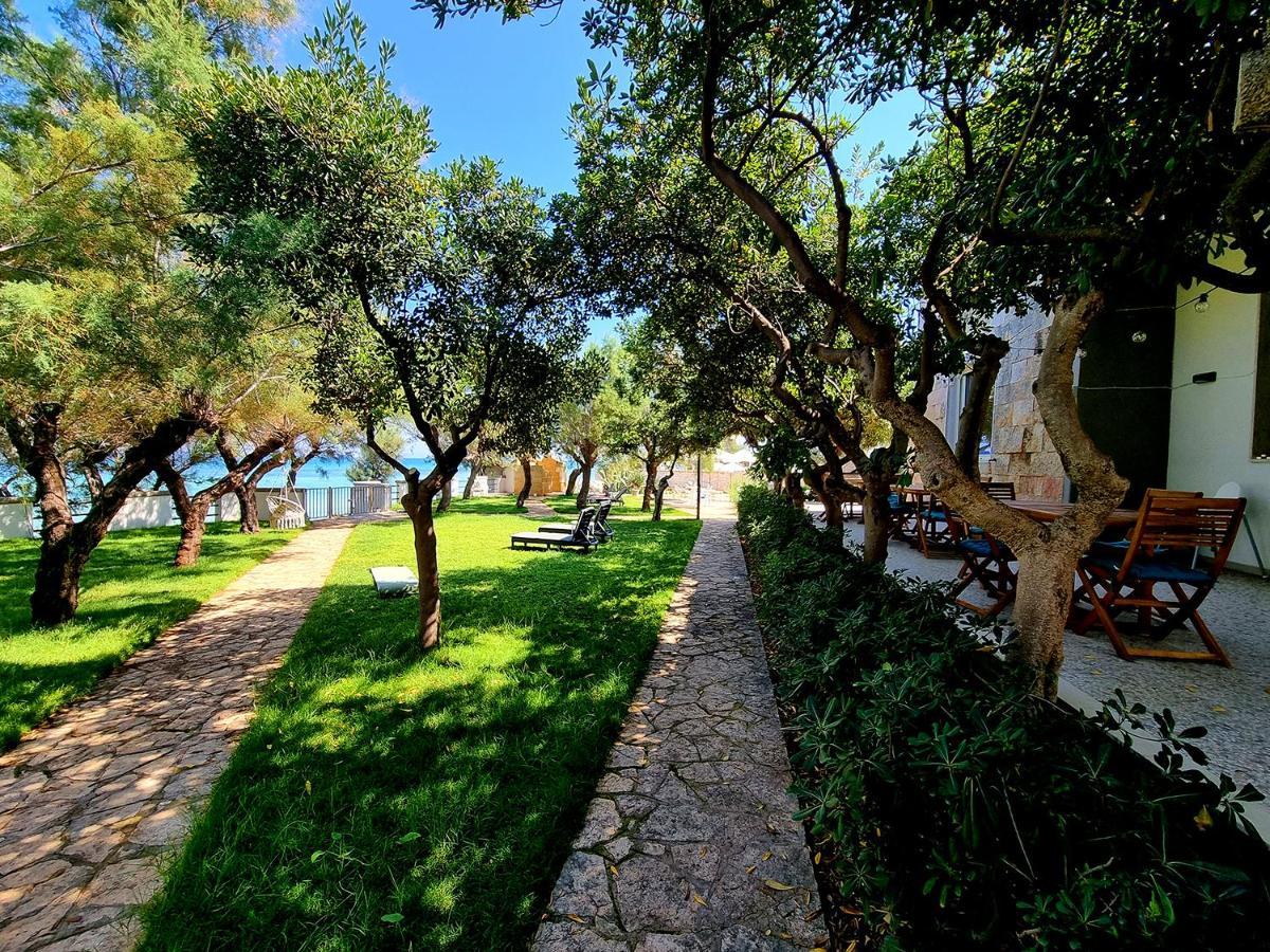 トッレ・カンネ Aurelia Sea View Bed & Breakfast エクステリア 写真