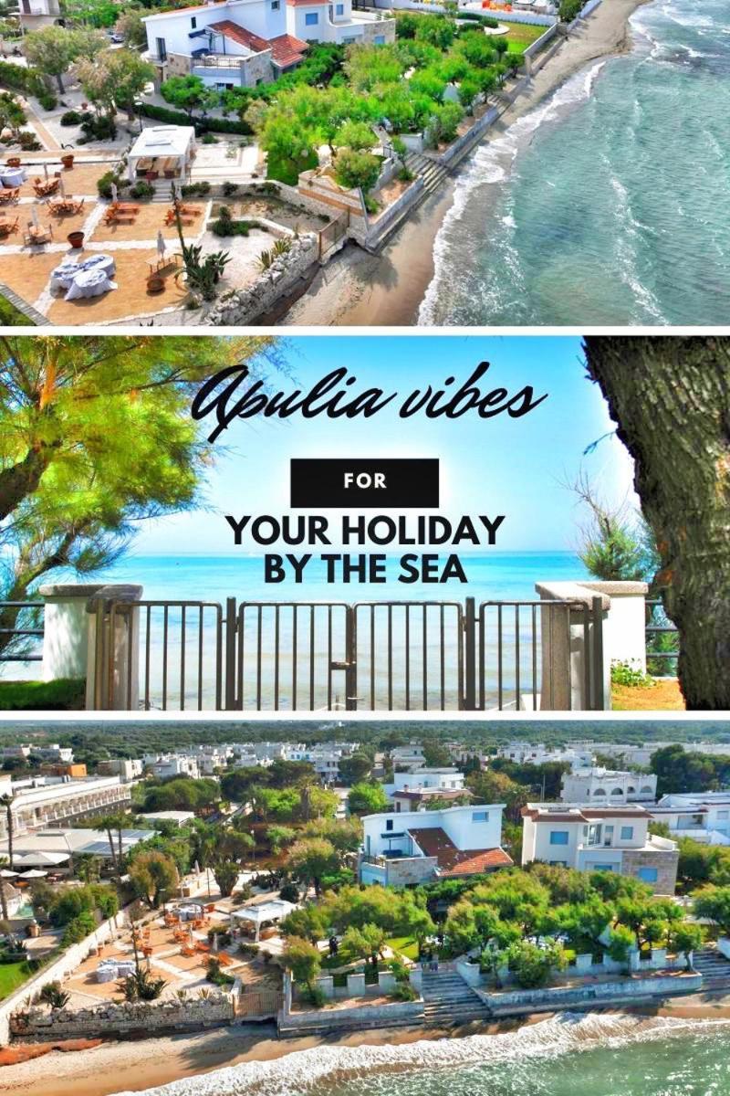 トッレ・カンネ Aurelia Sea View Bed & Breakfast エクステリア 写真